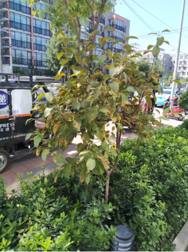 小米平板4Plus评测 无限流量极具性价比的良心平板
