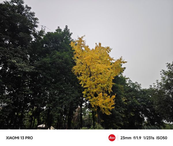 旗舰属性再一次得到进化：小米13 Pro评测