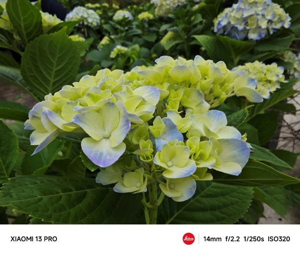 旗舰属性再一次得到进化：小米13 Pro评测