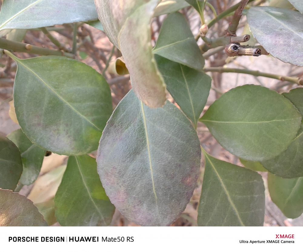 华为Mate 50 RS动手玩：拍照有进步，卫星通讯很实用