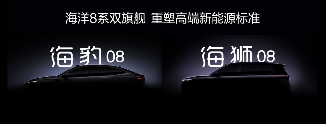 四年累销超600万辆,百万海豚助力海洋网发展加速度 四年累销超600万辆,百万海豚助力海洋网发展加速度-SmartHey